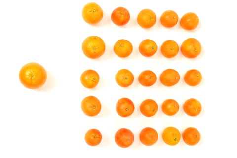oranges_id237367_size480.jpg