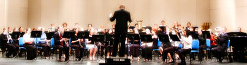 orchestra_cropped_350o.jpg