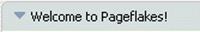 pageflakes_logo.gif