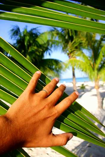 paradise_discovered_by_spanishale_350o.jpg