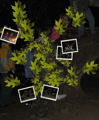 phototree.jpg