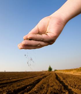 proprietary_seeds.jpg