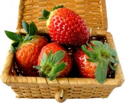 real_time_content_curation__strawberries_id173317_size1.jpg