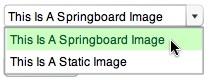 springboard3_ll.jpg