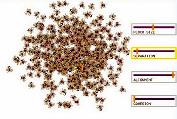 swarming_rules_350o.jpg