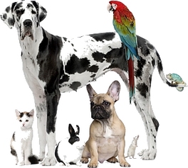 tracking_external_links_help_improve_website_traffic_social_networking_id38468211.jpg