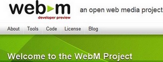 video_encoding_codecs_formats_containers_settings_webm_project.jpg