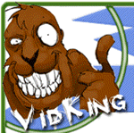 vidking_logo.gif
