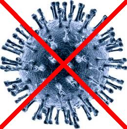 viral_video_marketing_limits_of_the_biological_metaphor_id6391536_2.jpg