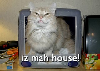 viral_video_marketing_the_lolcat_internet_meme_by_karindalziel.jpg