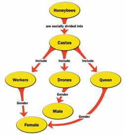 visual-communication-Concept-Map-web.gif