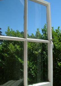 windows_by_myles.jpg