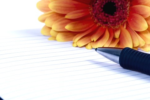 writing_id507239_size485.jpg