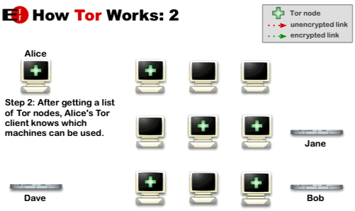 Tor2.gif
